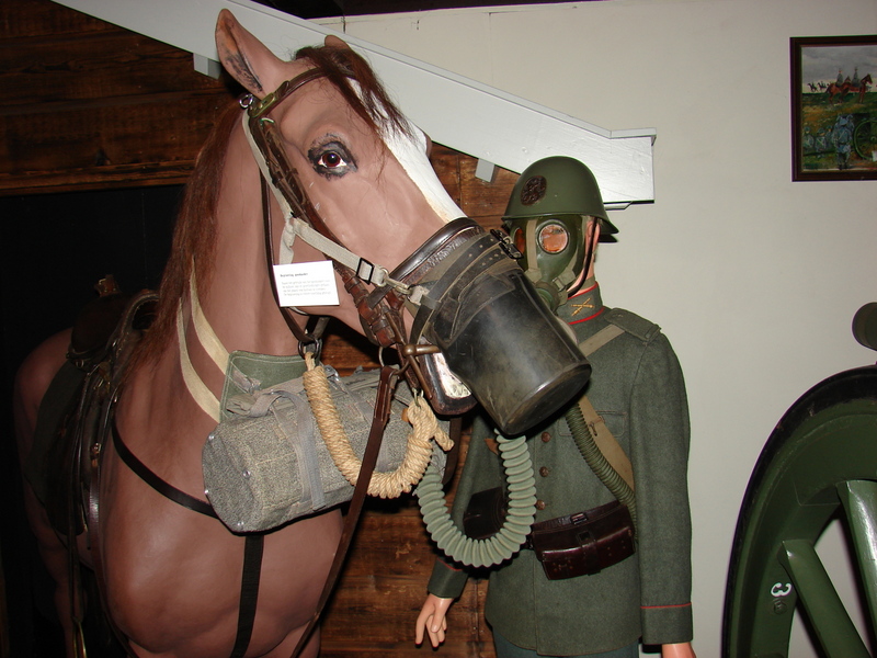 paard met gasmasker