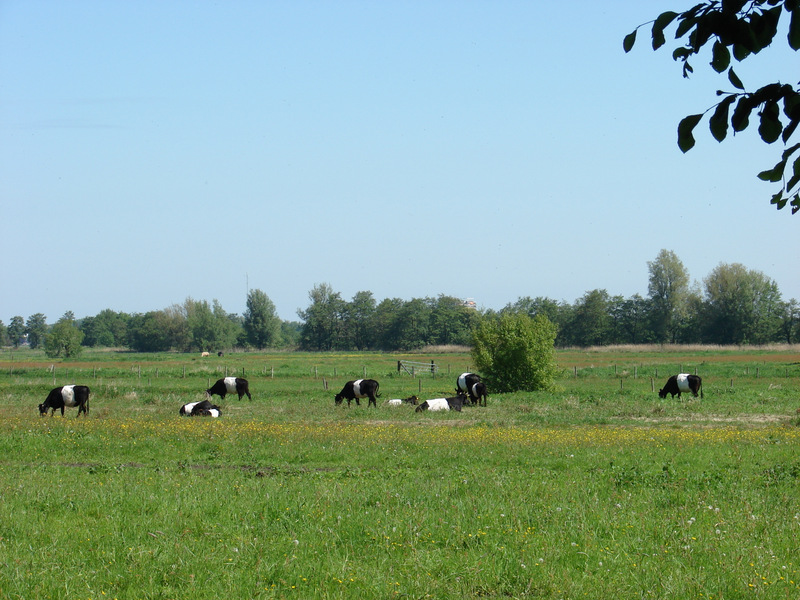 polder Lappenvoort