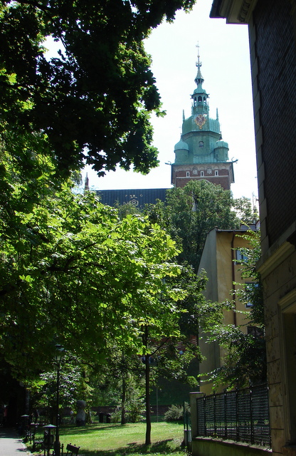 Wawelkathedraal vanaf Planti