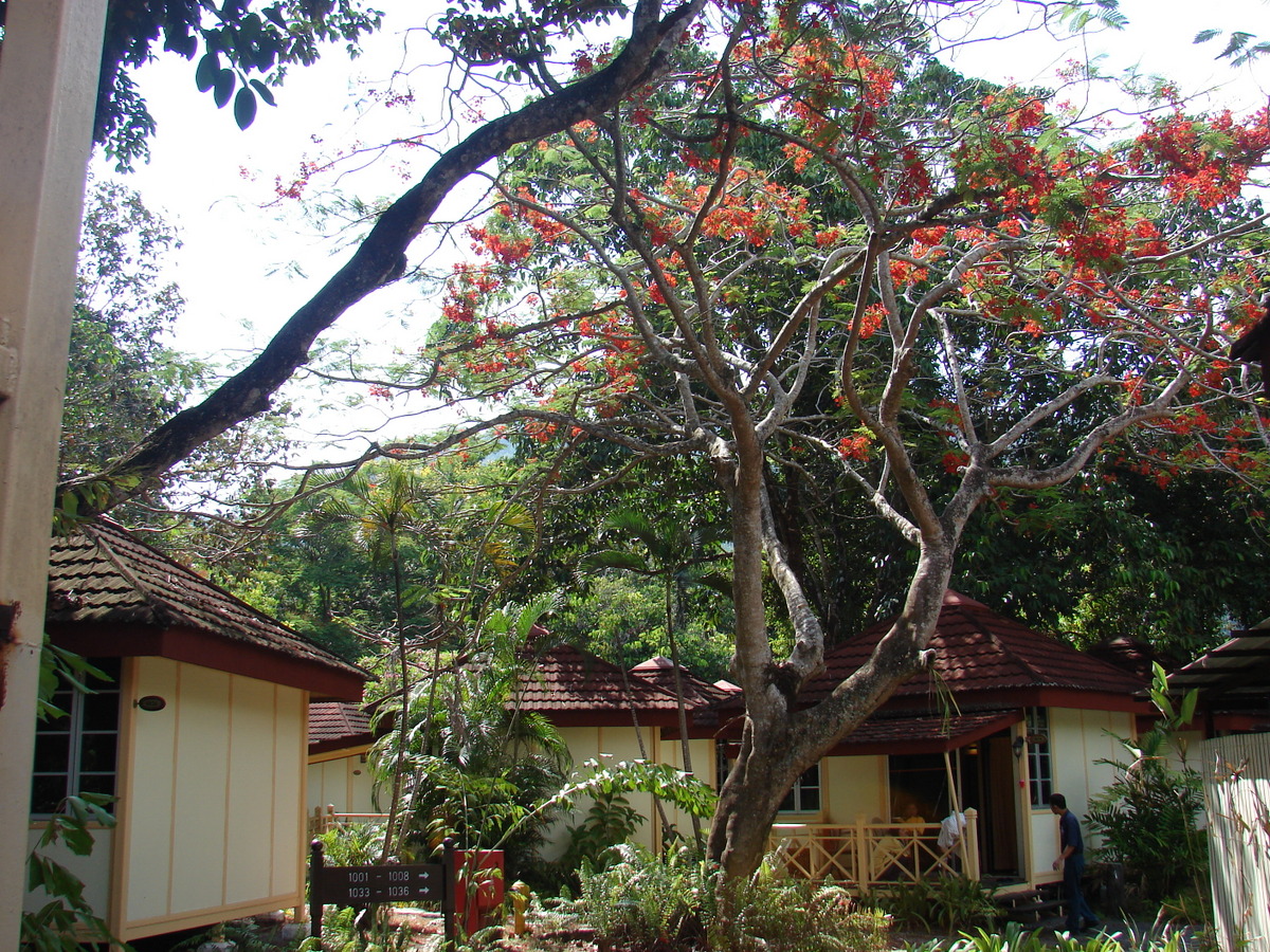Langkawi resort