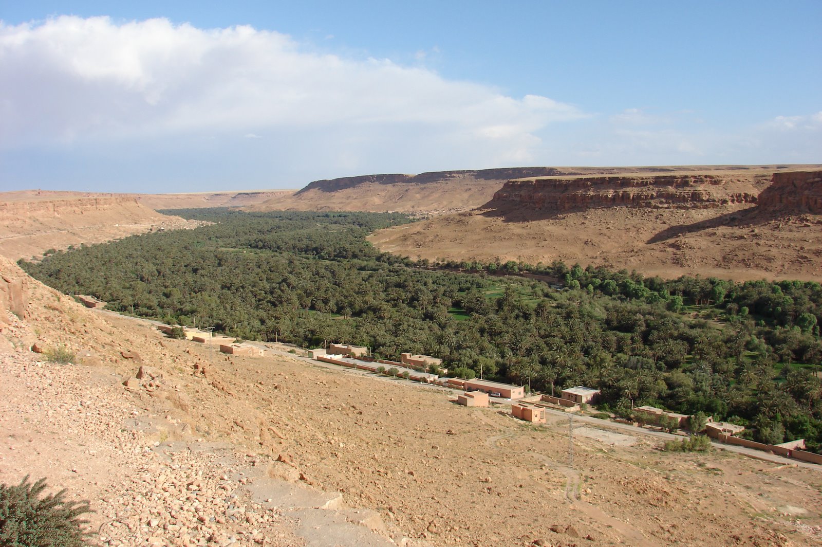 Marokko oase langs de Ziz