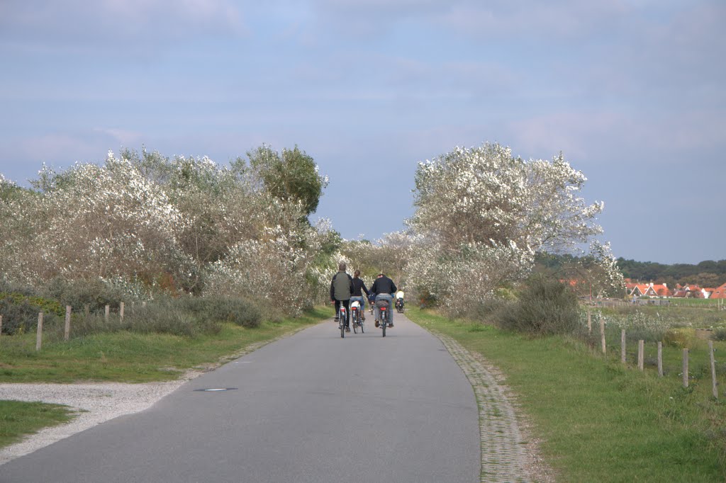 Vlieland 2010 fietsen over dee waddendijk