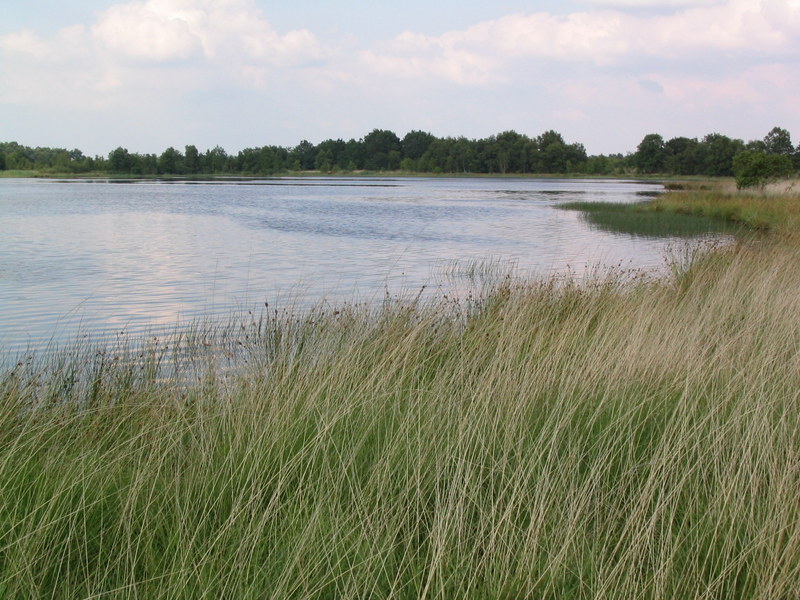 Esmeer bij Veenhuizen
